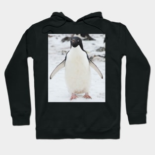 An Adelie penguin, from Antartica Hoodie